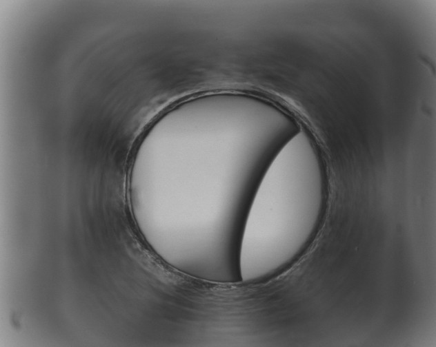 X0000100381220200806060818