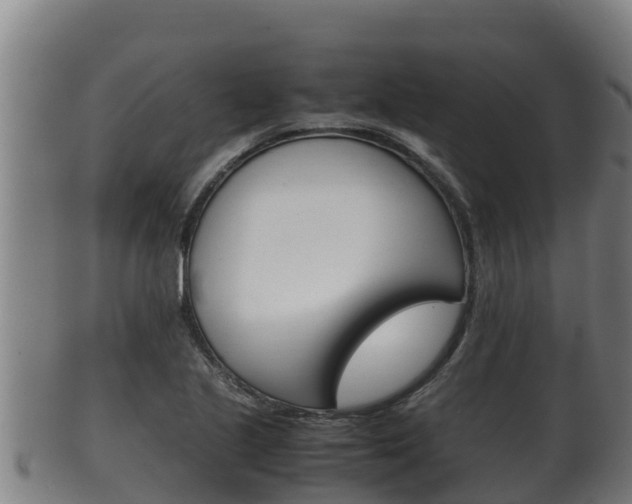 X0000100381221200806060818