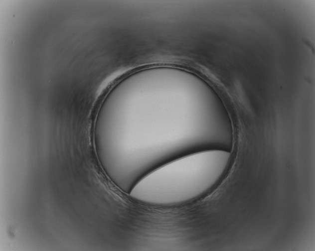 X0000100381222200806060818