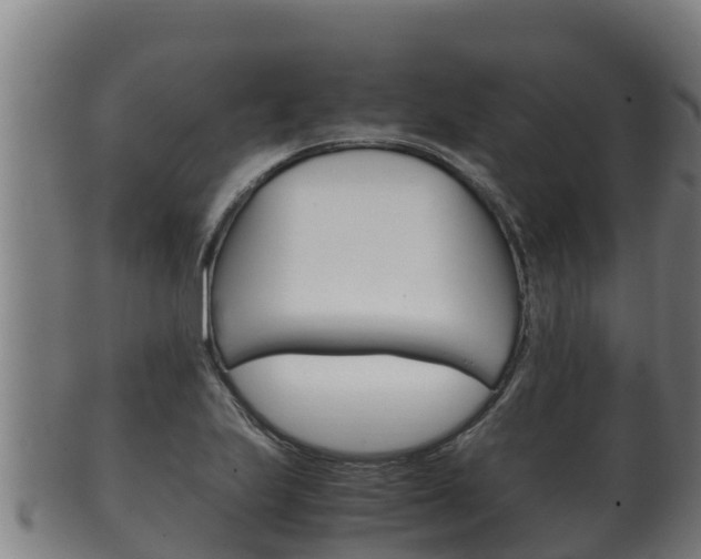 X0000100381223200806060818