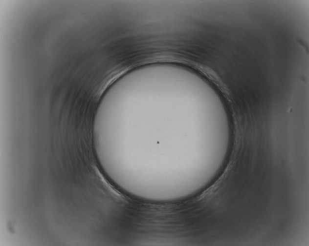 X0000100381225200806060818