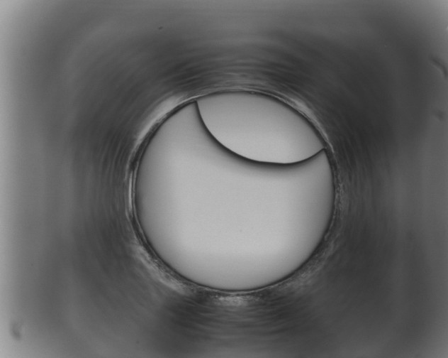 X0000100381227200806060818