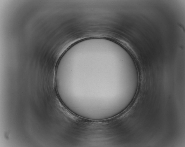 X0000100381228200806060818