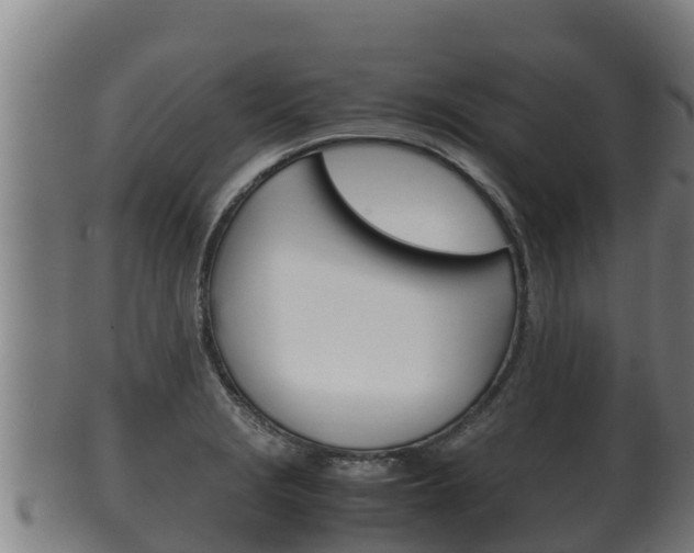 X0000100381229200806060818