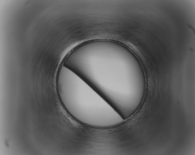X0000100381230200806060818