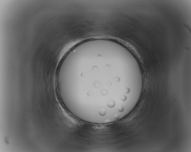 X0000100381231200806060818