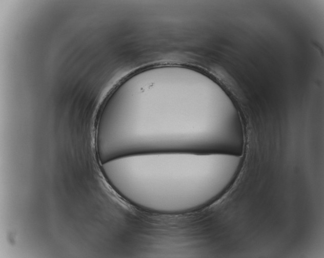 X0000100381232200806060818