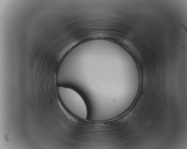 X0000100381233200806060818