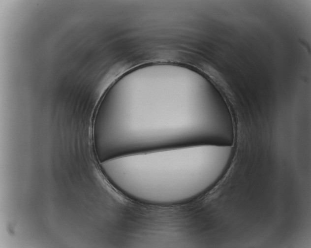 X0000100381234200806060818
