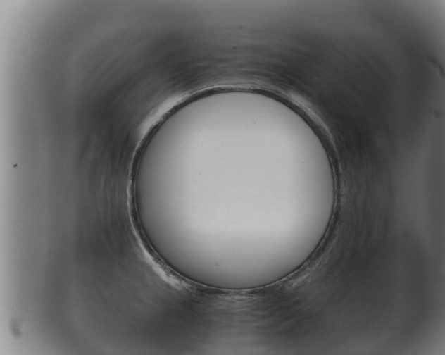 X0000100381237200806060818