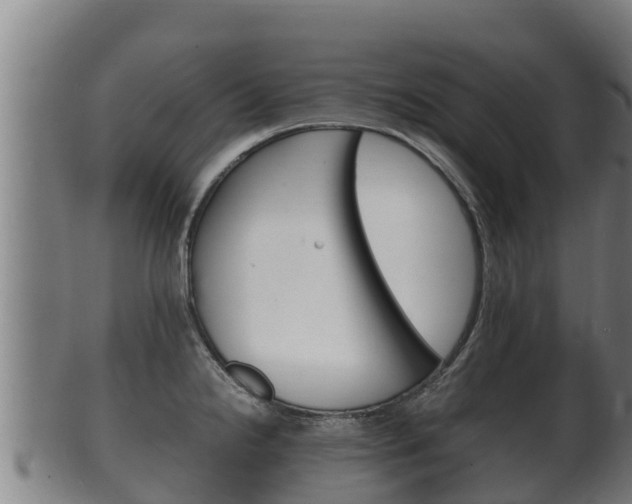 X0000100381238200806060818