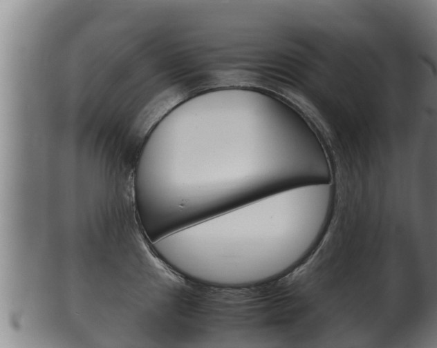 X0000100381241200806060819