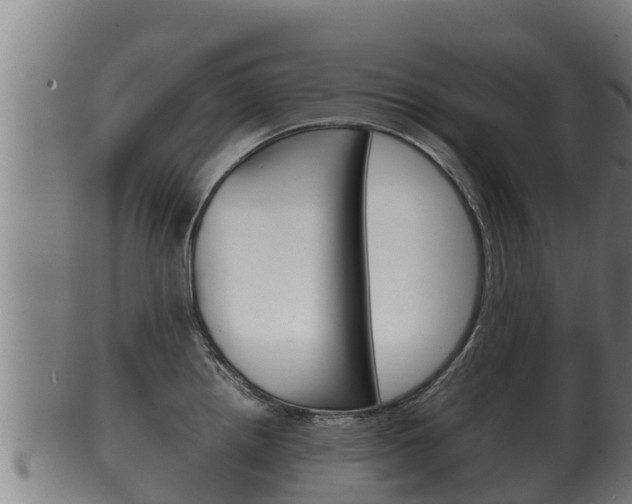 X0000100381242200806060819