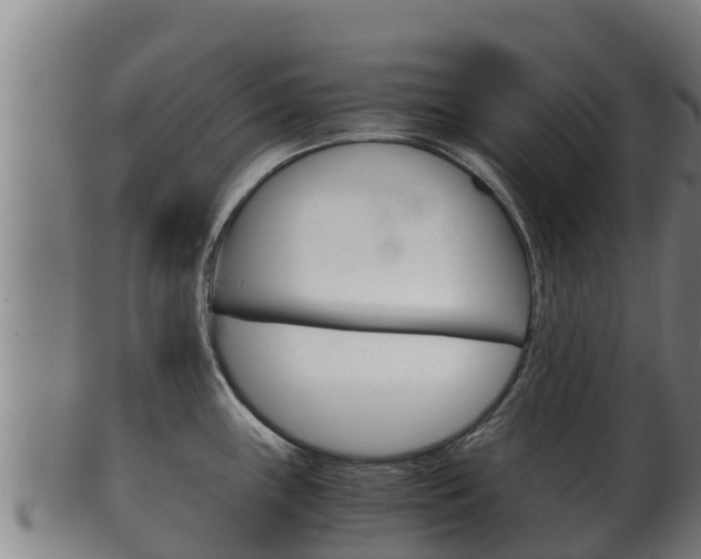 X0000100381243200806060819
