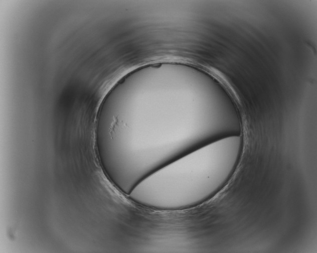 X0000100381244200806060819