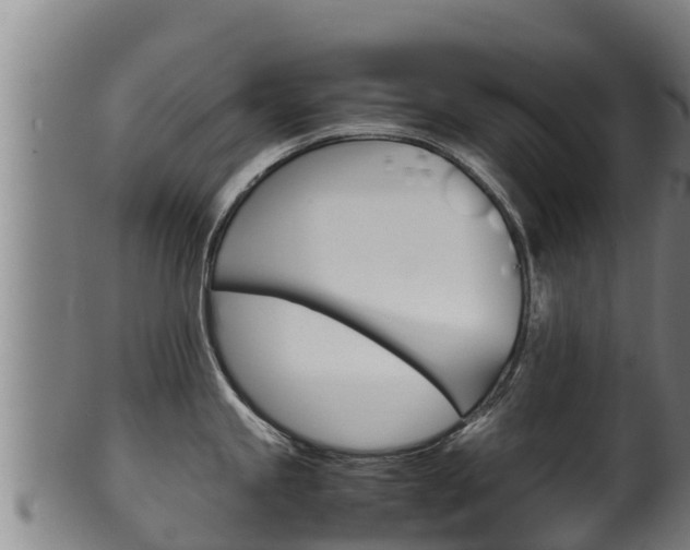 X0000100381245200806060819