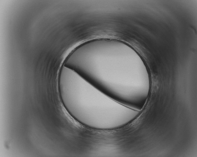 X0000100381246200806060819