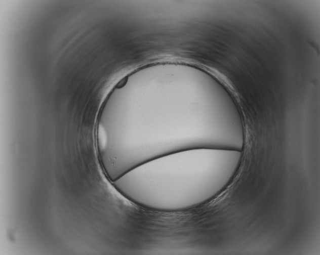 X0000100381247200806060819