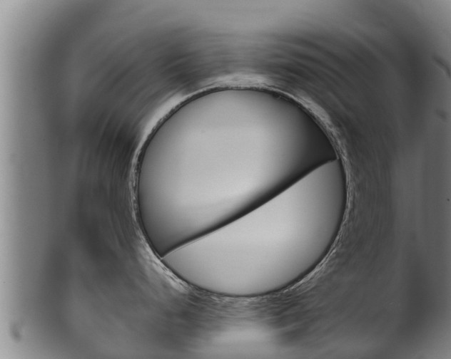 X0000100381248200806060819