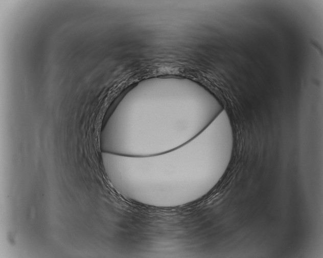 X0000100381249200806060818