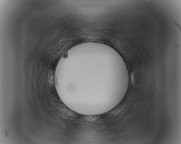 X0000100381251200806060818
