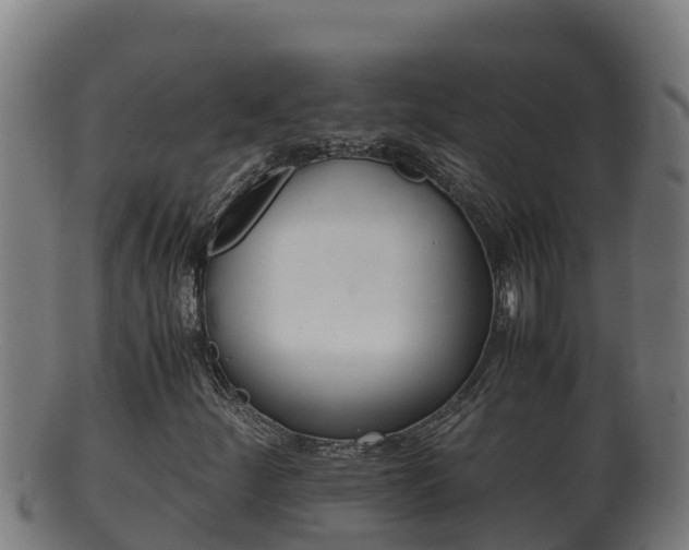 X0000100381252200806060818