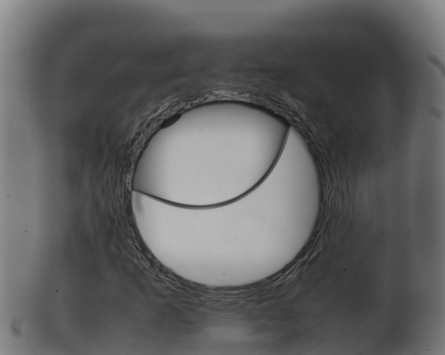 X0000100381253200806060818