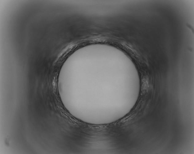 X0000100381254200806060818