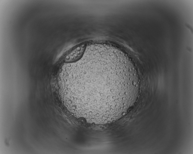 X0000100381255200806060818