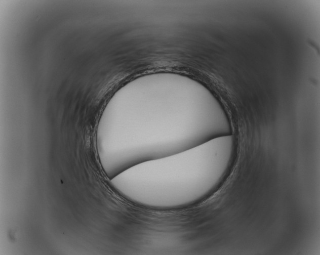 X0000100381257200806060818