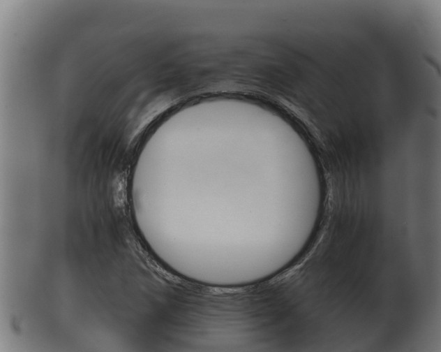 X0000100381258200806060818