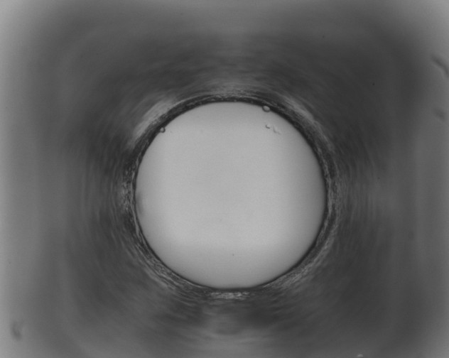 X0000100381259200806060818