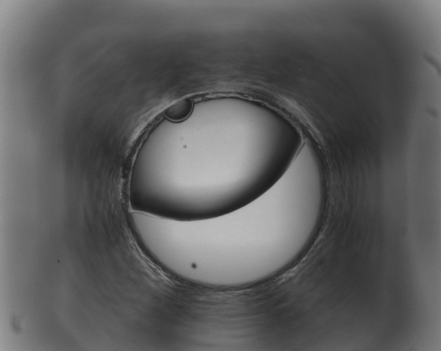 X0000100381260200806060818