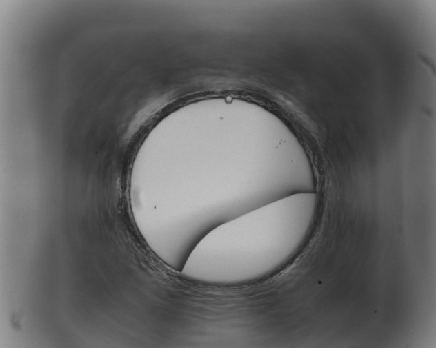 X0000100381261200806060818