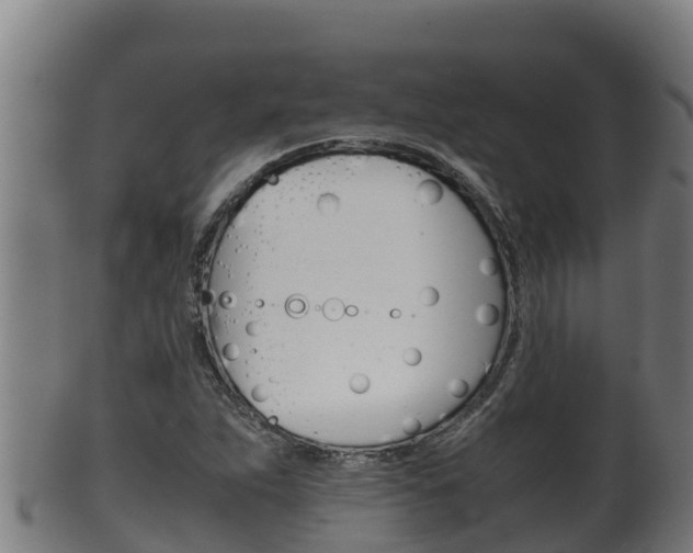 X0000100381263200806060818