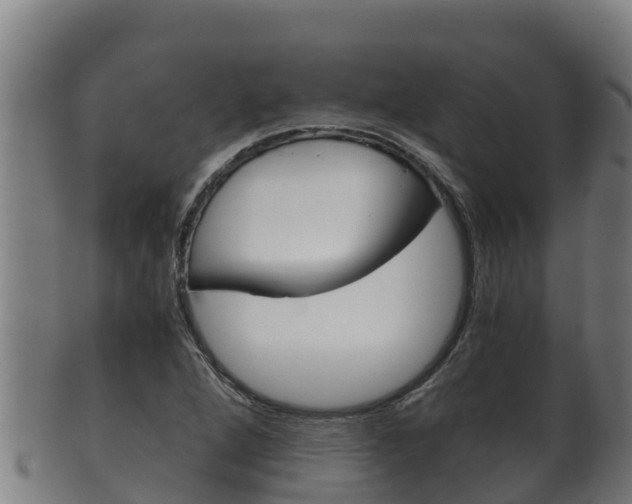 X0000100381264200806060818