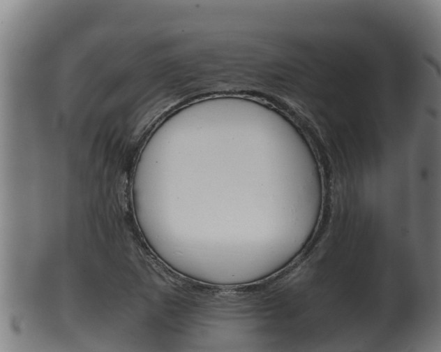 X0000100381265200806060818