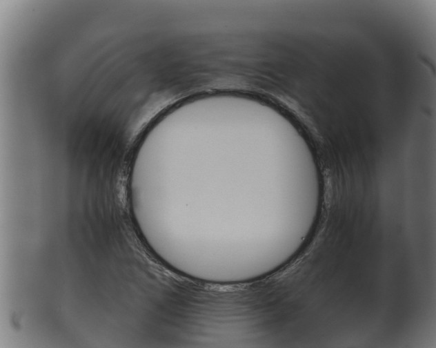 X0000100381266200806060818