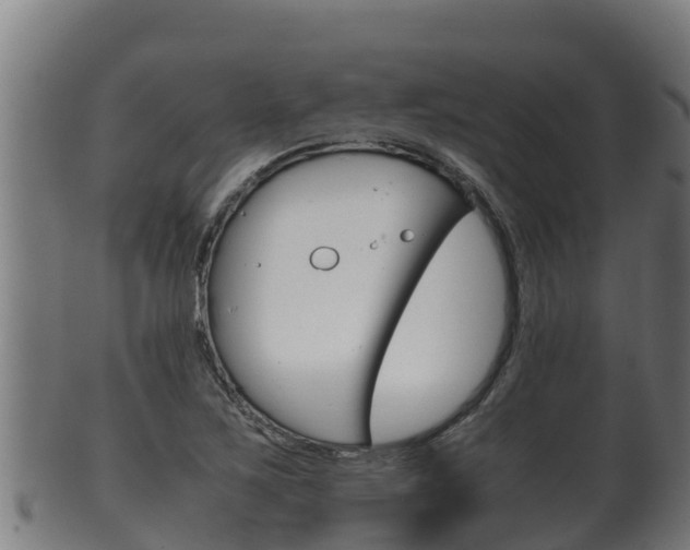 X0000100381267200806060818