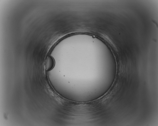X0000100381268200806060818