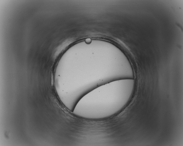 X0000100381269200806060818