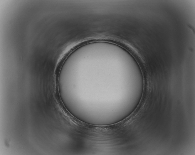 X0000100381270200806060818