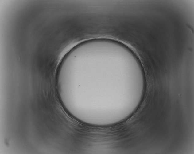 X0000100381271200806060818