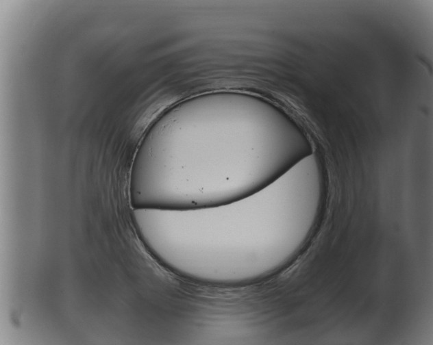 X0000100381273200806060818
