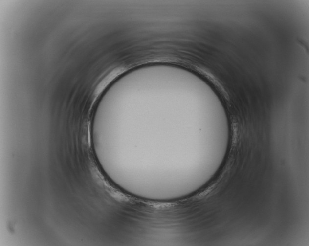 X0000100381274200806060818