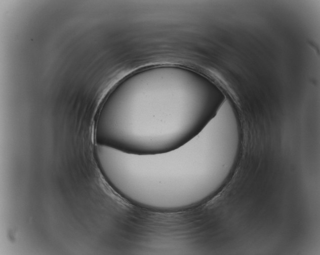 X0000100381276200806060818