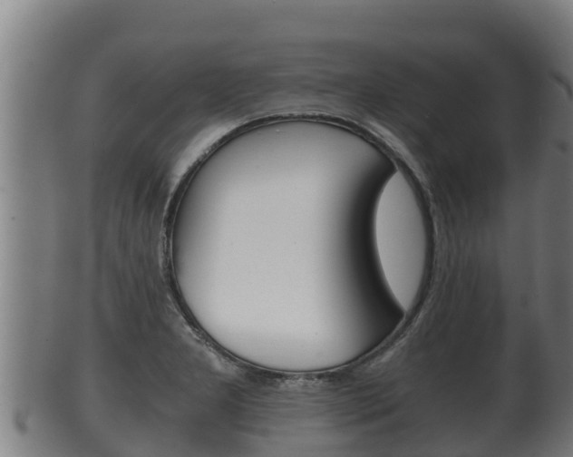 X0000100381277200806060818