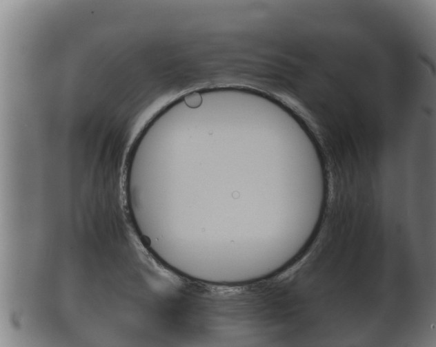 X0000100381278200806060818