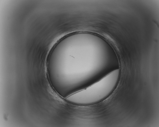 X0000100381280200806060818
