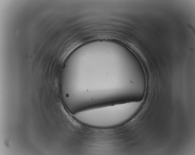 X0000100381281200806060817